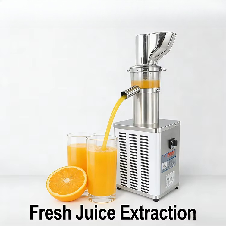 상업용 주스 추출기 전기 주서기 신선한 음료 제조기 안 - Juice Extractor Commercial 리뷰 및 가격
